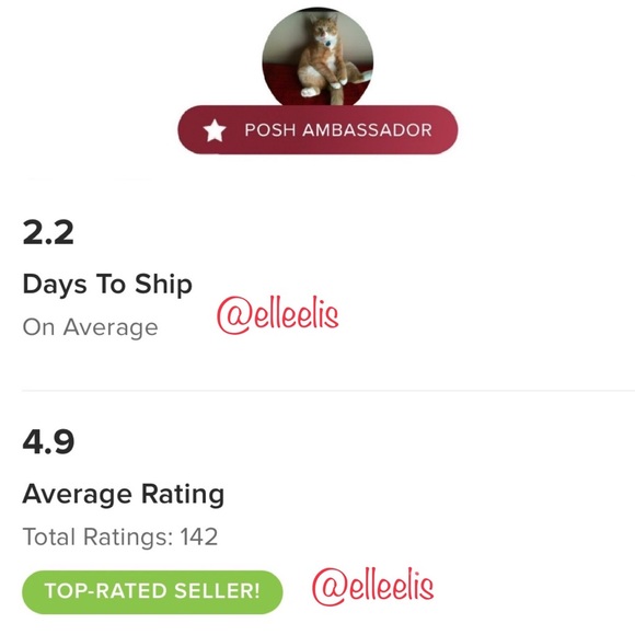 FIRM - Authentic Pandora Smooth Shine Clasp Bracelet - Picture 9 of 10